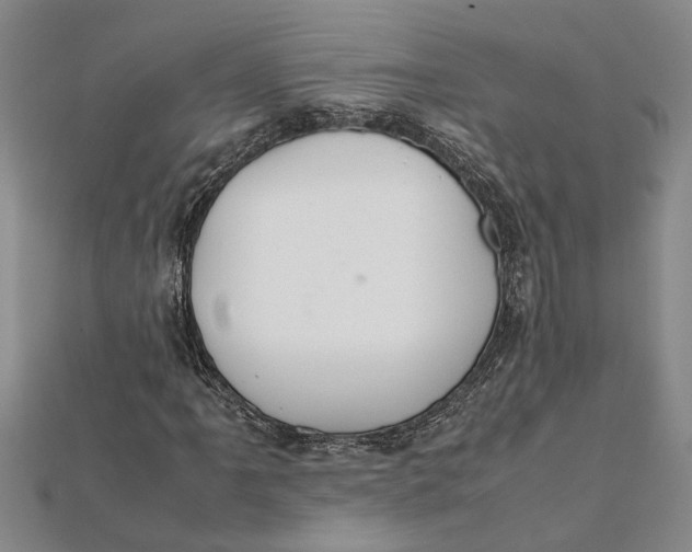 X0000112111061200908251206