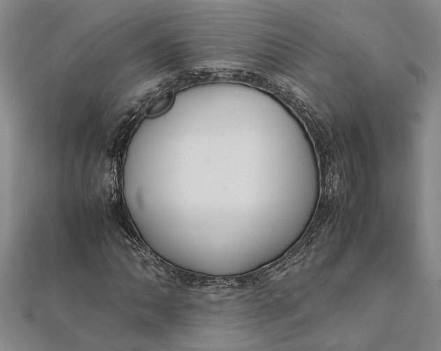 X0000112111062200908251206