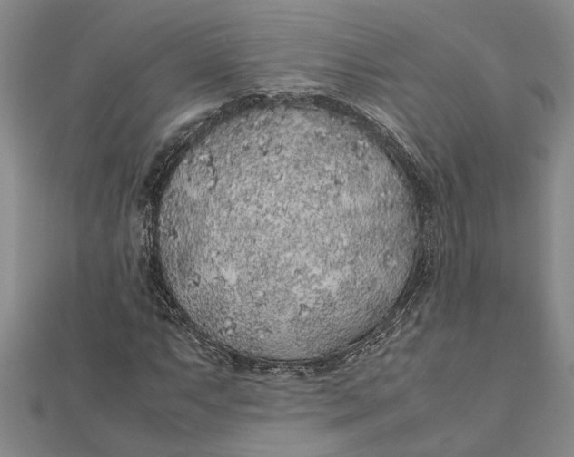 X0000112111063200908251206