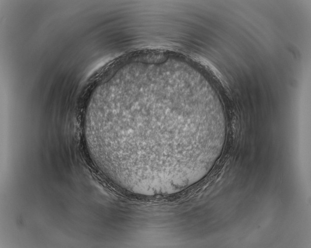 X0000112111064200908251206