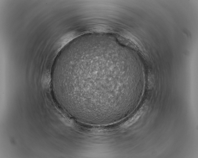 X0000112111065200908251206