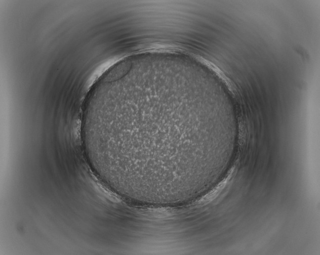 X0000112111066200908251206