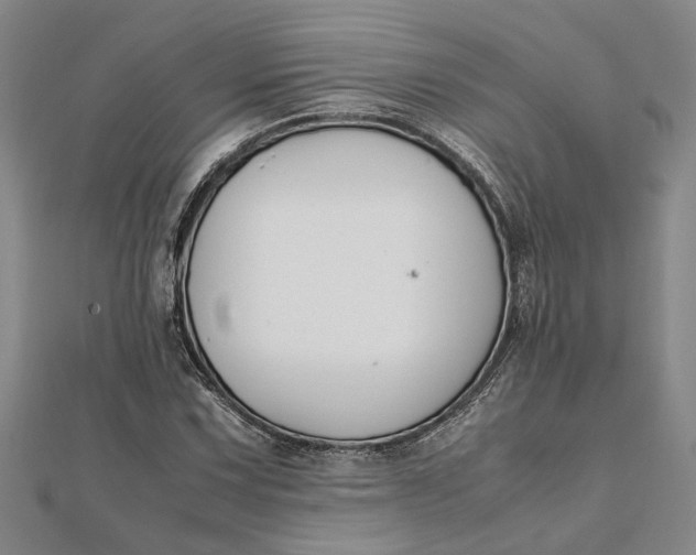 X0000112111067200908251206