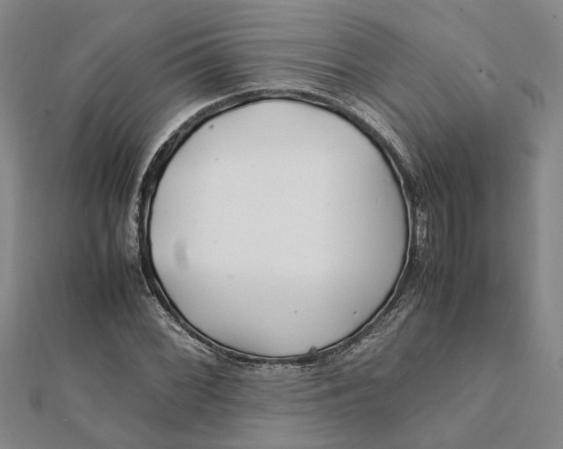 X0000112111068200908251206