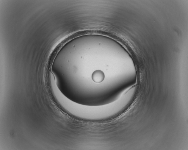 X0000112111069200908251206