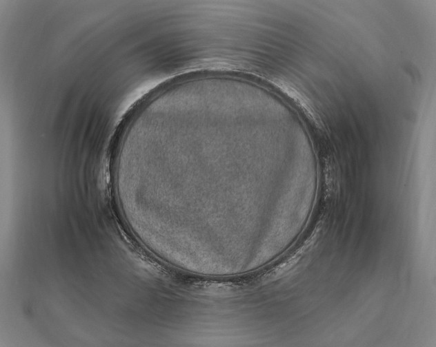 X0000112111070200908251206