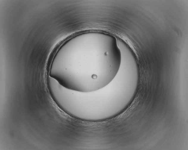 X0000112111072200908251206