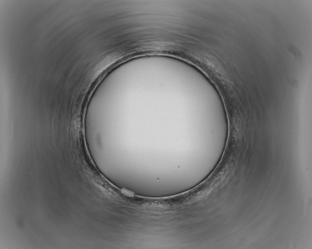 X0000112111073200908251206