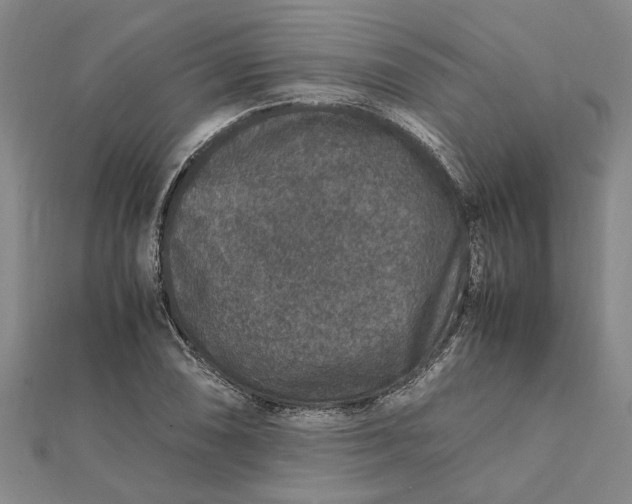 X0000112111074200908251206