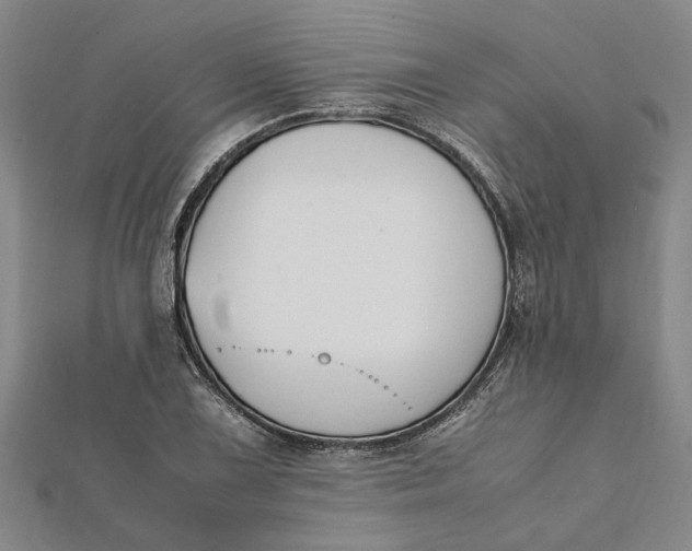 X0000112111075200908251206