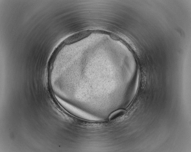 X0000112111076200908251206