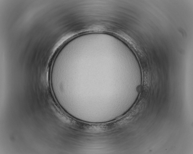 X0000112111078200908251206