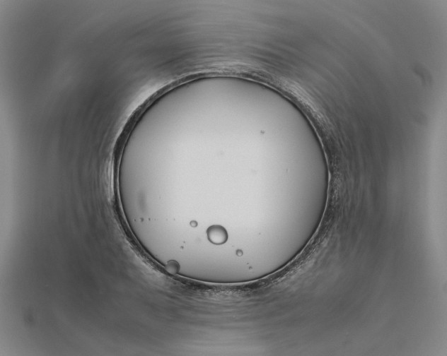 X0000112111079200908251206