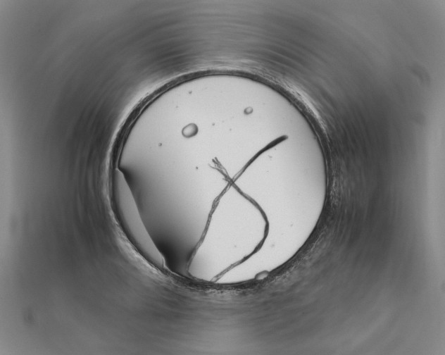 X0000112111080200908251206