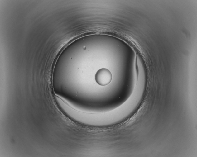 X0000112111081200908251206