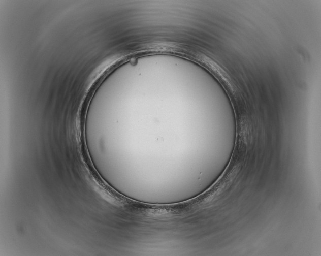 X0000112111082200908251206