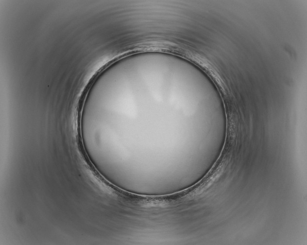 X0000112111083200908251206