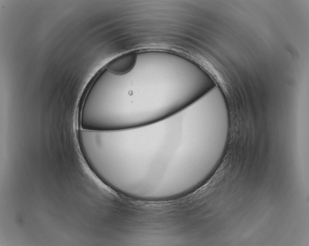 X0000112111084200908251206