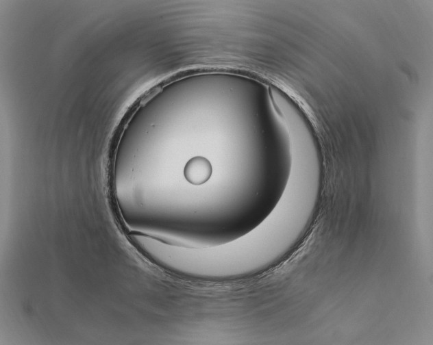 X0000112111085200908251206