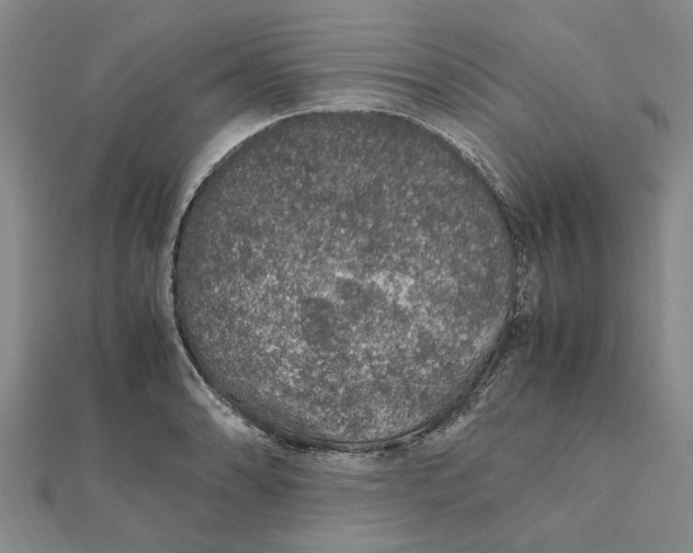 X0000112111086200908251206