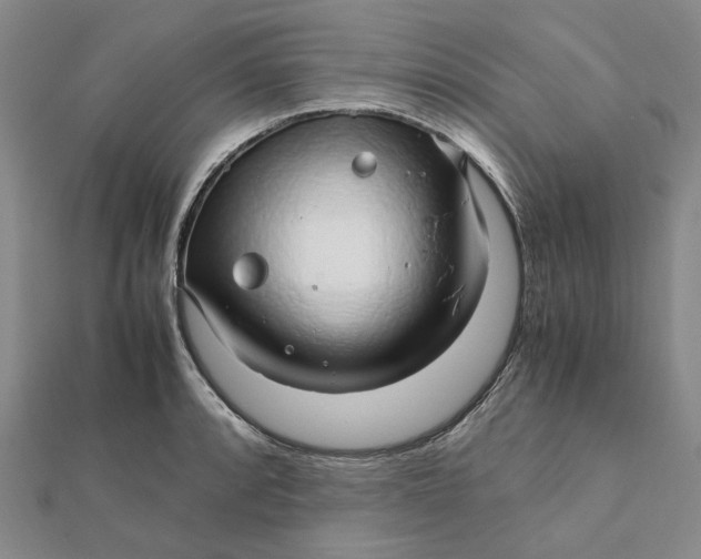 X0000112111088200908251206