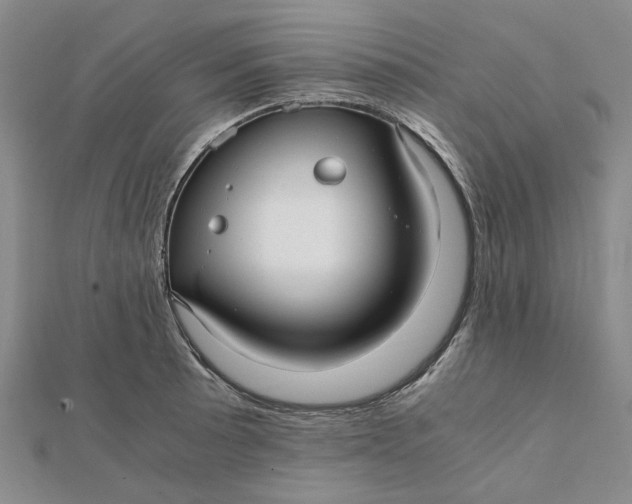 X0000112111089200908251206