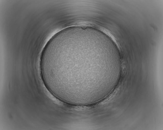 X0000112111091200908251206