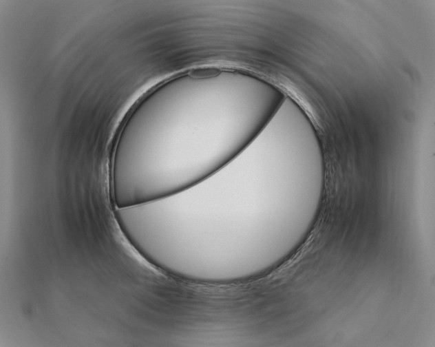 X0000112111092200908251206