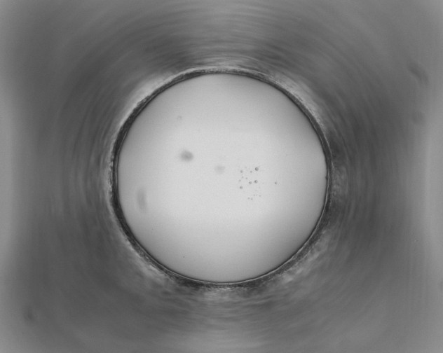 X0000112111093200908251206