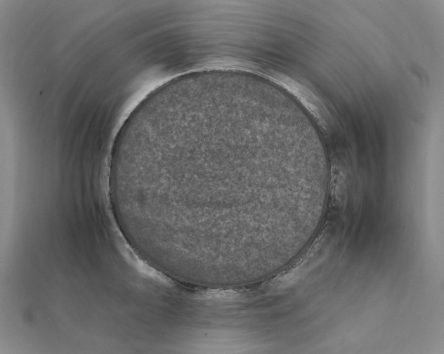 X0000112111094200908251206