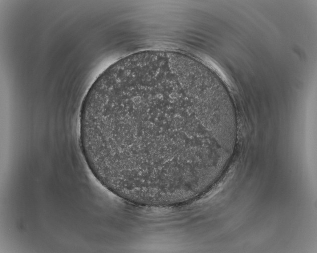 X0000112111095200908251206