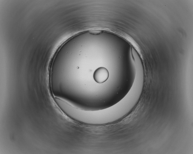 X0000112111096200908251206