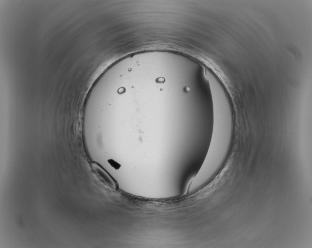 X0000112111097200908251206