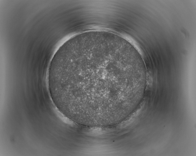 X0000112111098200908251206