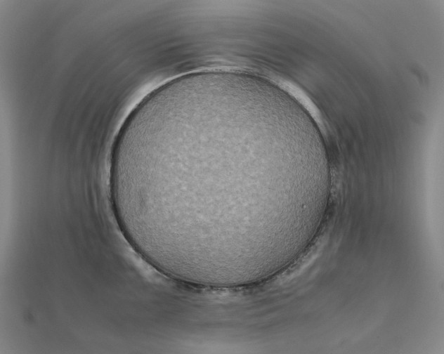 X0000112111099200908251206