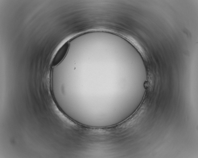 X0000112111100200908251206