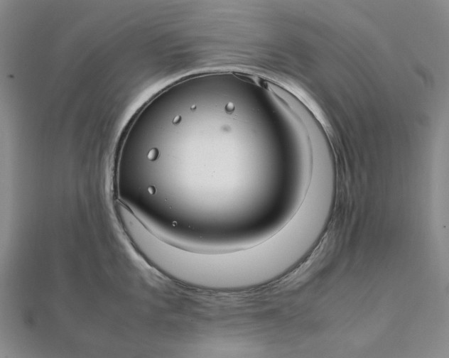 X0000112111101200908251206