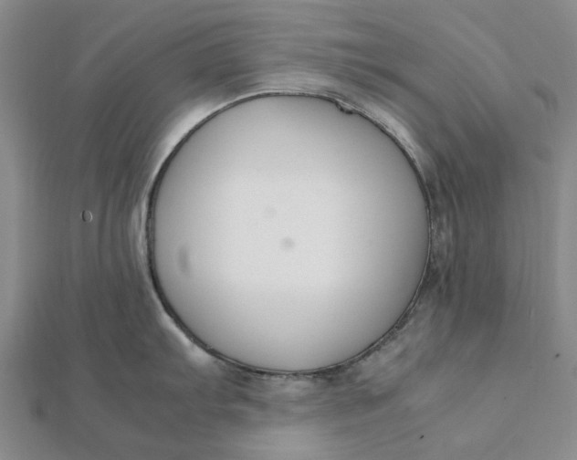 X0000112111103200908251206