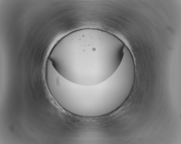 X0000112111104200908251206