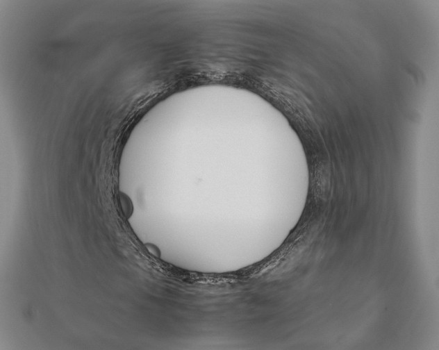 X0000112111105200908251205