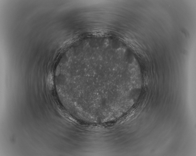 X0000112111106200908251205