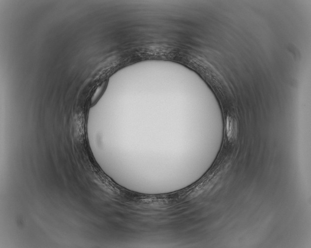 X0000112111107200908251205