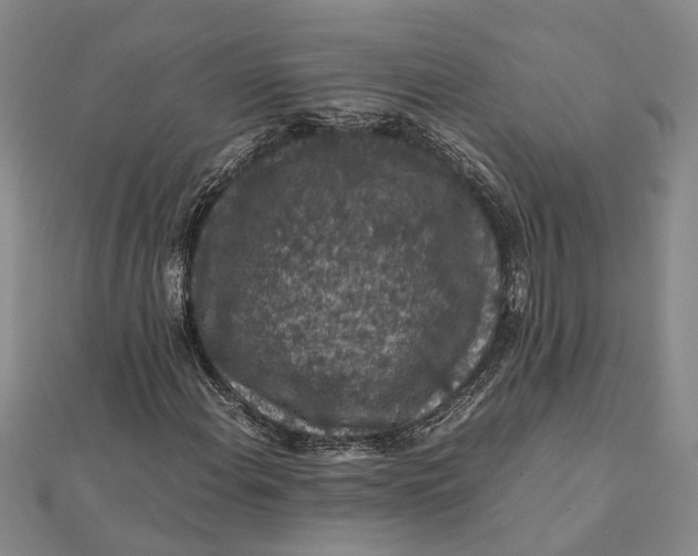 X0000112111108200908251205