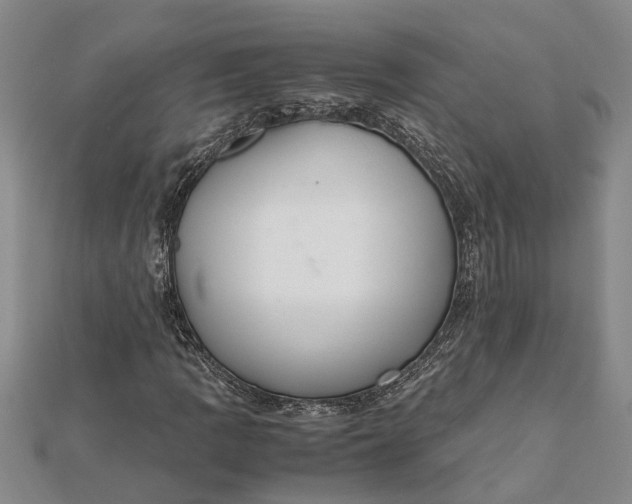 X0000112111109200908251205