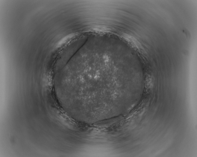 X0000112111110200908251205