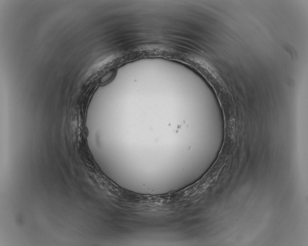 X0000112111111200908251205