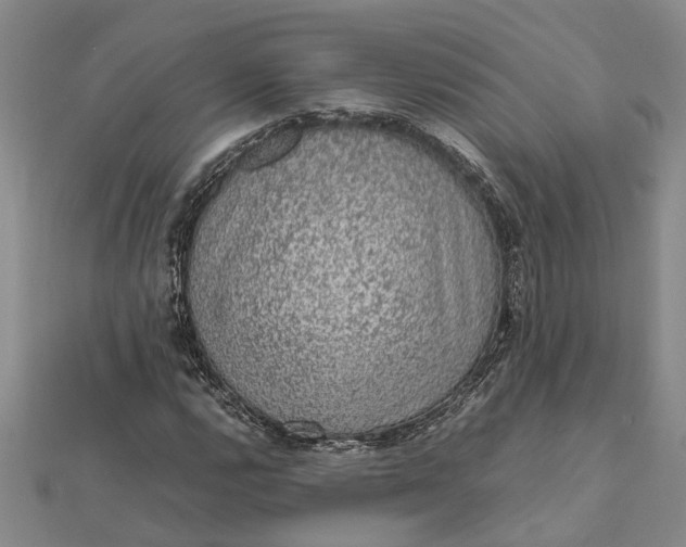 X0000112111112200908251205