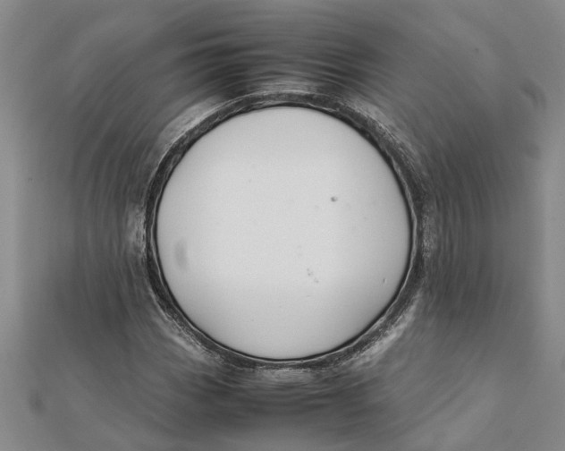 X0000112111113200908251205