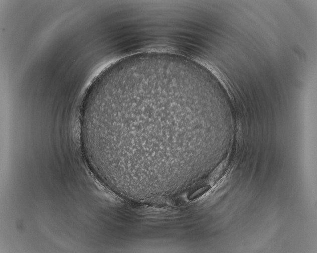 X0000112111115200908251205