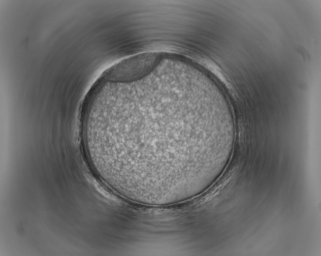 X0000112111116200908251205